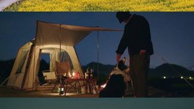 一人一狗山顶沉浸式露营，感觉压力大就去露营吧#远离城市的喧嚣 #春天的第一场露营 #一个人的露营时光