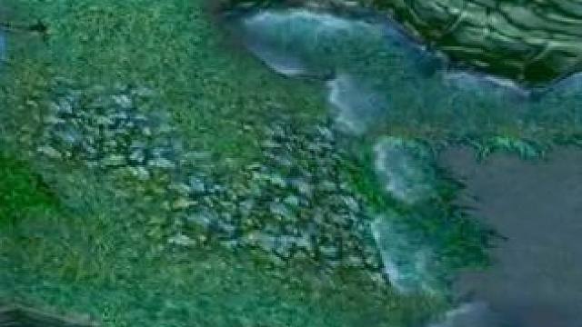 （三）大熊原声大碟，队友火枪6分钟0-6，打野辉耀小娜迦带躺