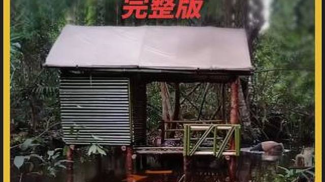 在雨天的小溪上徒手搭建一个木屋 #雨天露营 #荒野建造徒手建造 #户外搭建庇护所 #野外建造 #助眠