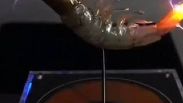 这不是魔术，这是真实的科学小实验#物理实验 #科学小实验 #趣味实验 #家庭小实验 #生活小实验 