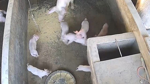 上你爸那屋待着去[笑哭]