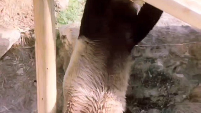 灵岩解锁全新技能！