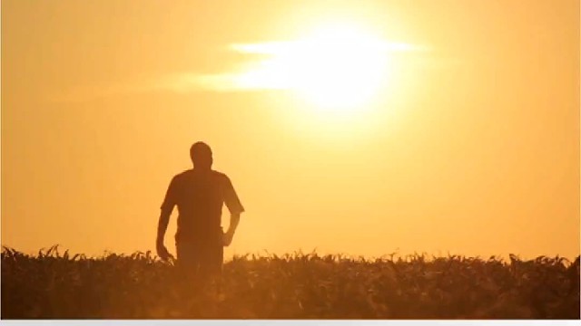 越是在不顺的时候，越是要沉住气……