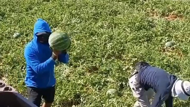 第一个人最累[龇牙]