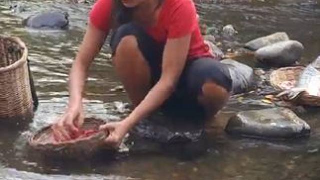 哇，大鱼!烹饪咖喱鱼与野生食谱作为美味的午餐 #野外生活纪录片 #荒野厨王 #户外美食