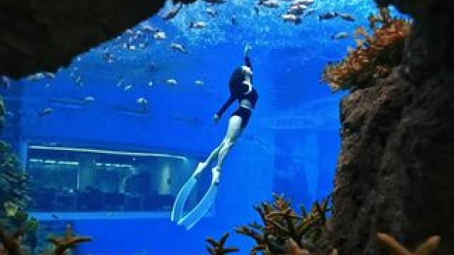 沉，见别样景；浮，迎天地宽 内里笃定，
波澜随心，
顺逆皆自由...#治愈系风景 #瑜伽