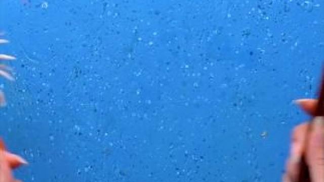 食物存储小技巧 #小妙招 #小妙招大作用 #小妙招分享 #小技巧 #小技巧你学会了吗