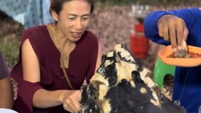 酸菜巨鲶头，老马带朋友品尝，看着就流口水  #户外美食 #咀嚼音 #咀嚼音解压 #泰国美食 #傣味