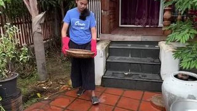 泰国林蛙#泰国美食#林蛙#乡村美食 #农村美食 #农村生活