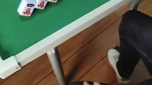 他们说我炸胡？#红中血流 #纯正家乡麻将 #JJ麻将小游戏 #麻将麻将抖起来 #麻将实战技巧