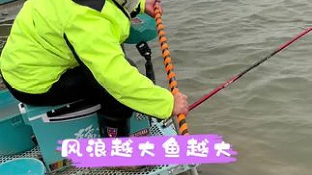 要不是看到鱼 大腿要拍肿 晚上又睡不着觉#2024dou来钓鱼 #钓鱼届