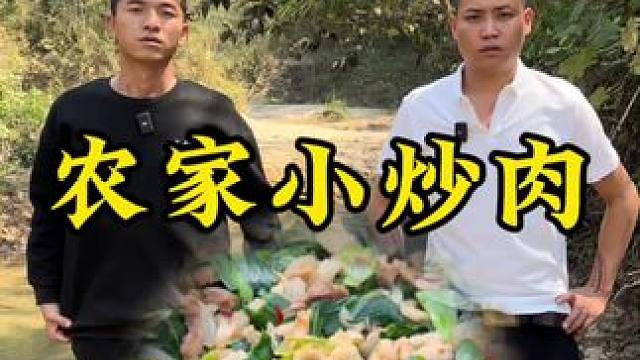 农家小炒肉#新农人2024计划 #农村生活#回村后的我
