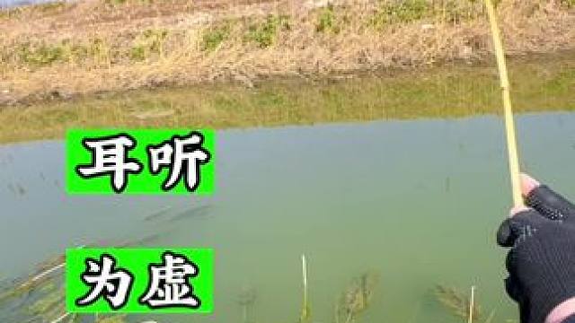 #上热门 耳听为虚眼见为实 在探#钓鱼的乐趣只有钓鱼人懂 #钓鱼人就是这么疯狂 #户外 #共同富鱼