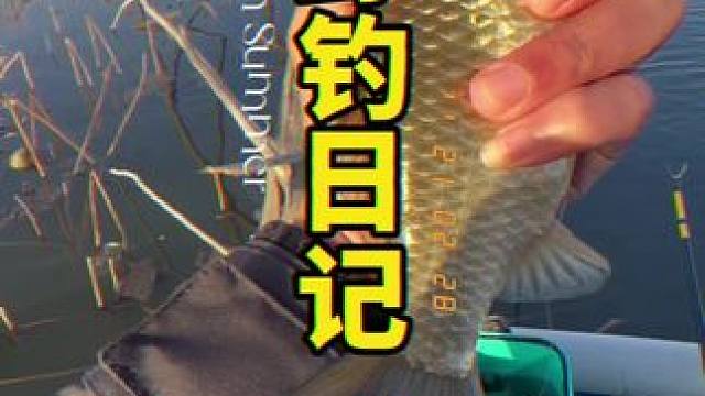 #春天就是要去钓大鱼 #渔之源小蜻蜓 #春天都来钓大鱼