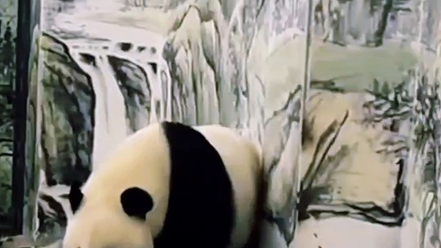 离堆倒立绝活，霸气转身