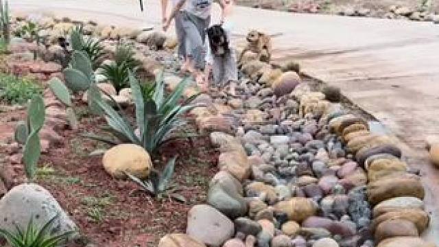 我把林中小溪复刻到了家门口#小溪流水 #2024新农人计划 #美的四季净化扇 #空气净化扇 #美的快