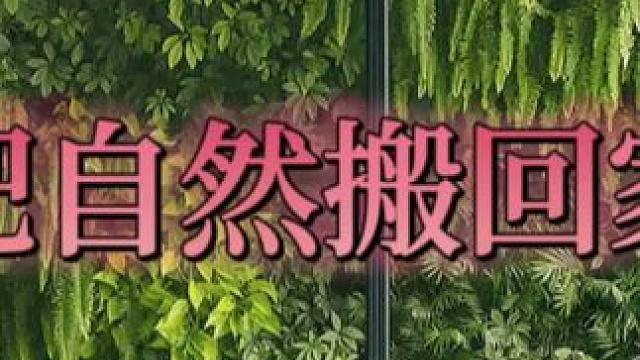 神秘且奇妙的植物，不仅吸引着人类踏上自然探索的旅程，还影响着对空间的塑造。在这片奇妙的森林中，盆栽、