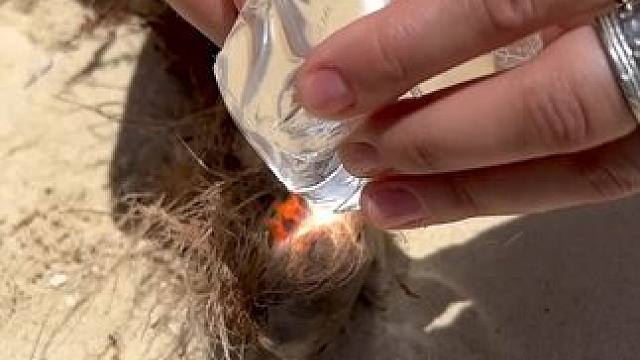 #生活小妙招 #实用小技巧 #户外生存 #绳结技巧 #野外生存