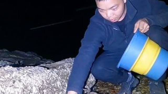 穷游东北晚上提着桶去赶海抓海鲜想不到还真有意外收获，太肥美了 #穷游东北 #床车生活 #赶海的乐趣 