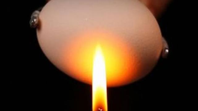 学会数理化，走遍天下都不怕，周末让孩子放下手，在游戏中增长知识#科学小实验 #涨知识 #物理启蒙 #