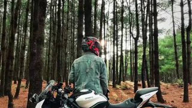 #人人都是ai艺术家 #春风450SR