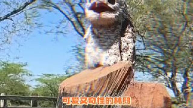 像个小老头哈哈哈哈