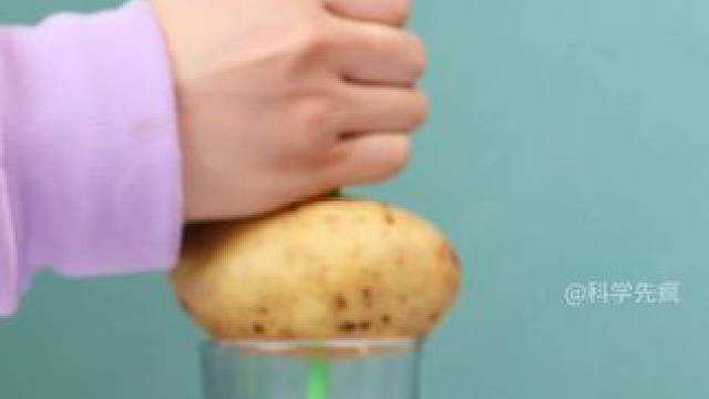 几个在家就能做的科学小实验，小实验大道理，快陪孩子实验一遍吧，让孩子爱上科学，提升物理化知识#科学小