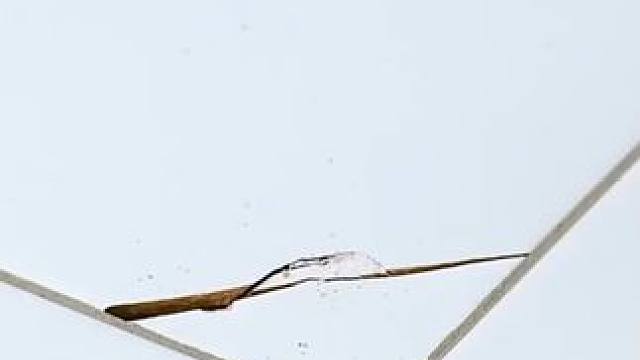 维修师傅不会告诉你的燃气灶维修技巧 #生活小技巧 #生活小妙招 #燃气灶维修 #维修小技巧