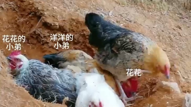 这是碟中谍吗？