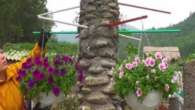 #野外生存技能 #野外生活纪录片 #农村原创视频 #野外生存 #户外求生技巧