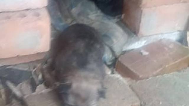 我发布了一个新视频，快来围观吧！