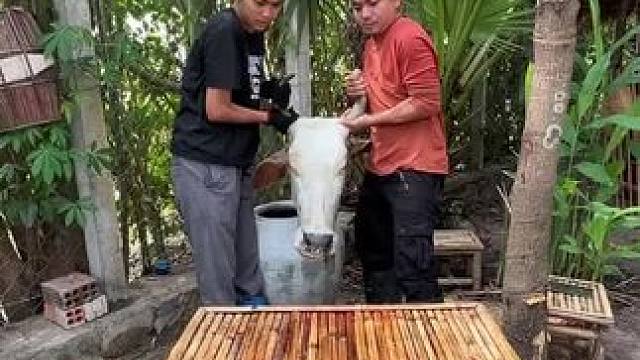 牛头宴#我的乡村生活 #记录农村日常生活 #农村美食  #乡村味道#美食vlog