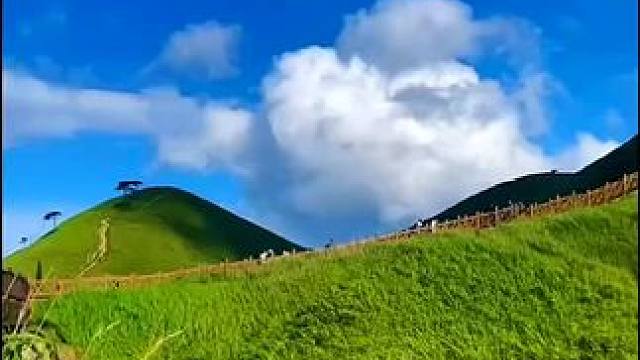 没人疼就去爬个山，迷茫就去跑跑步，焦虑就去吃肉肉，难过就去听听歌，委屈就去找个没人的地方喊出来，孤独