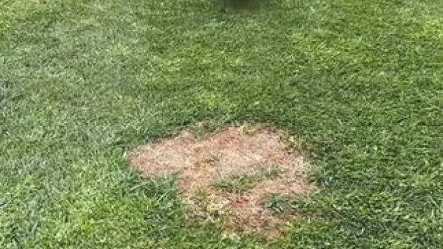 #Minecraft #我的世界