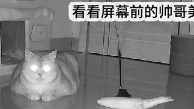 蛋蛋又睡过头了 