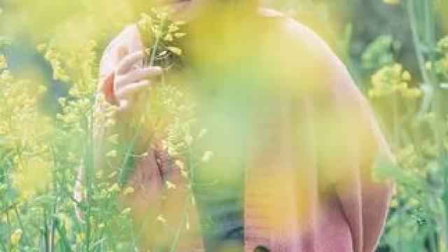 油菜花怎么拍？让更多的花进入画面，把花作为前景#摄影教学 #油菜花怎么拍照 #摄影教程