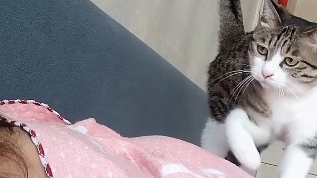 小猫咪太爱你了[赞]