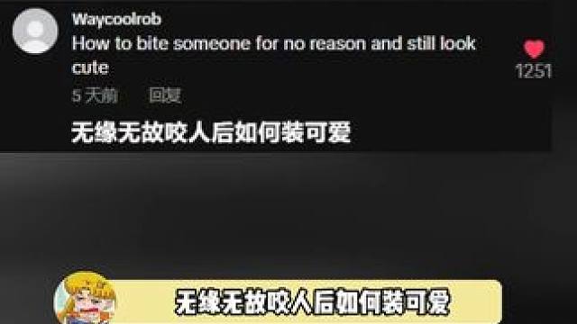 如果是你家小猫咪上网时，都会搜些什么呢？