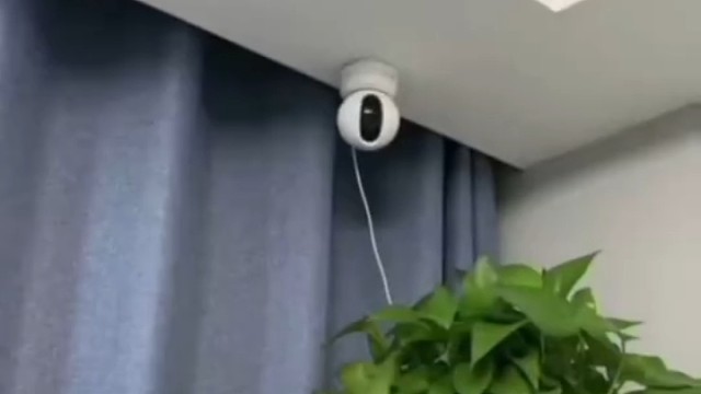 还不是因为想你而看