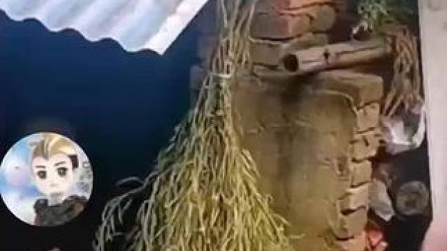 我来给你你们炒个菜#做菜我是认真的努力做好每一道菜 #迷你世界