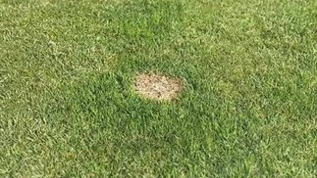 我发布了一个新视频，快来围观吧！