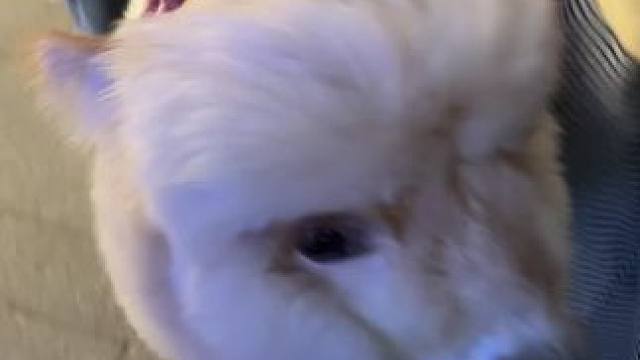 我发布了一个新视频，快来围观吧！