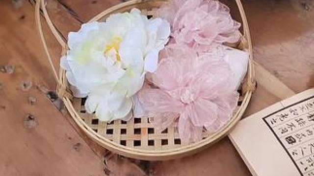 #一种很新的美食运镜  #花卉绿植