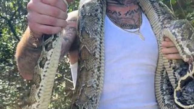 徒手抓#国外视频分享 #野生动物零距离 #国外合法拍摄国内请勿模仿