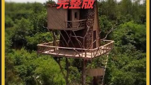 你见过别具一格的空中木屋吗？ #空中木屋 #荒野建造徒手建造 #户外建设 #野外生存记 #解压助眠的