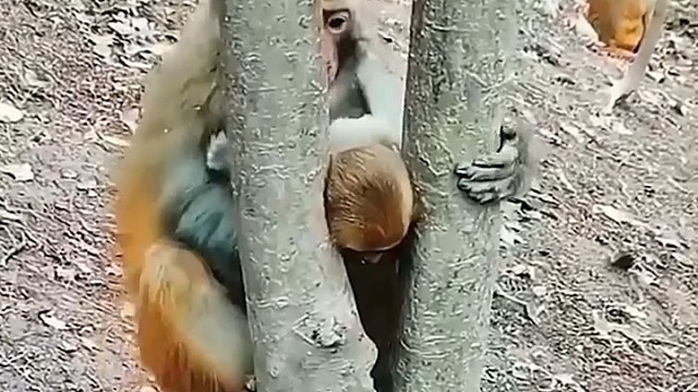 不知道往上抬吗？