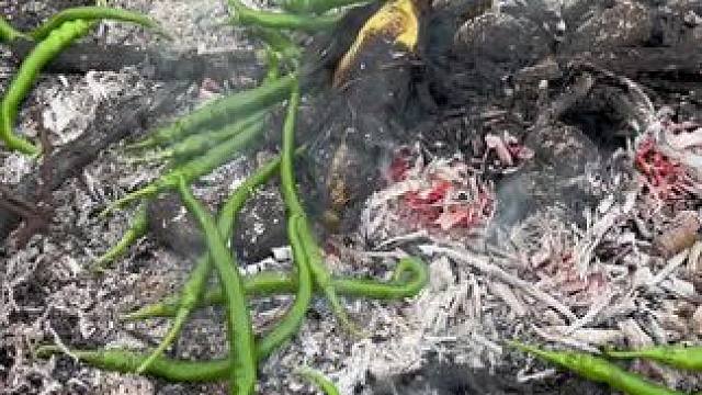 你们有多久没有这样上山放牛烧洋芋吃了#重温儿时的记忆 #烧洋芋 #大山里的味道 #乡村味道 #农村生