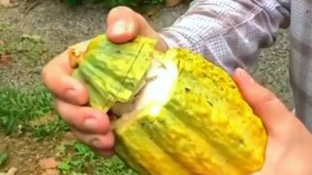 #水果 #吃水果小妙招 #水果的另类打开方式 #水果的创意吃法 #实用小技巧