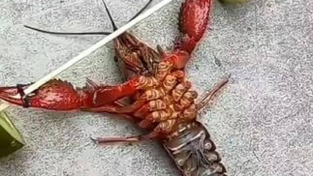 #生活小妙招 #实用小技巧 #厨房小妙招 #关注我每天分享生活小妙招 厨房生活小技巧