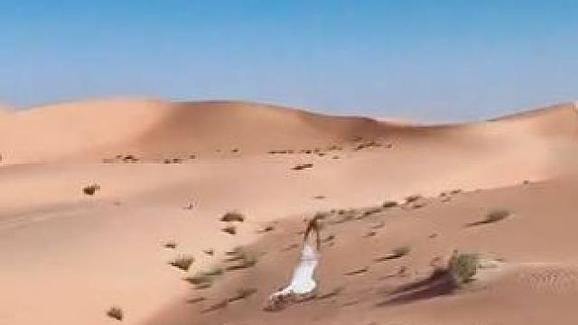 阿拉伯土豪的鹰隼捉兔#国外视频分享 #奇妙的动物 #鹰隼捕猎